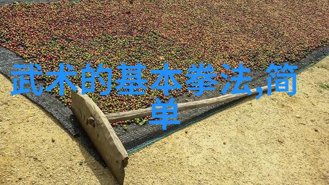 太极24式正面背面-揭秘太极拳的双重魅力24式的正面与背面的艺术之谜