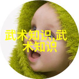 武林门派的辉煌与衰落金庸小说中的传说与现实