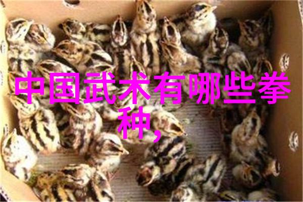 中华武林绝学揭秘中国十大最强武术的奥秘与传承