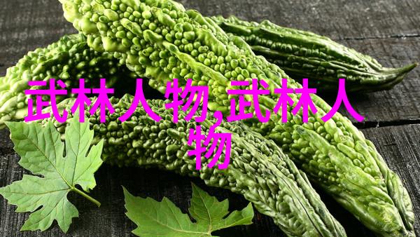 武林门派有掌门吗门派拳种新疆72式迷踪艺