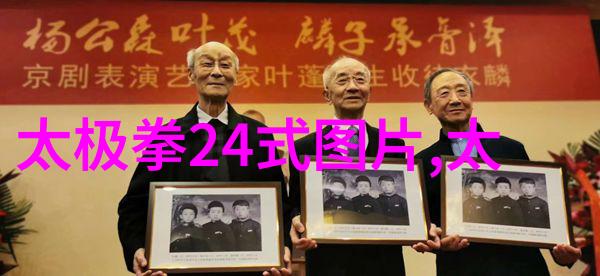 武术-自学武术指南探索适合个人练习的古典与现代武技