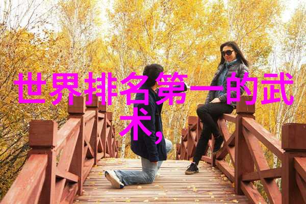 武林秘籍揭秘众多门派的武功之道