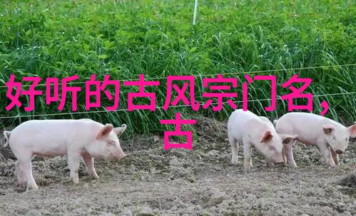 门派拳种乾坤门