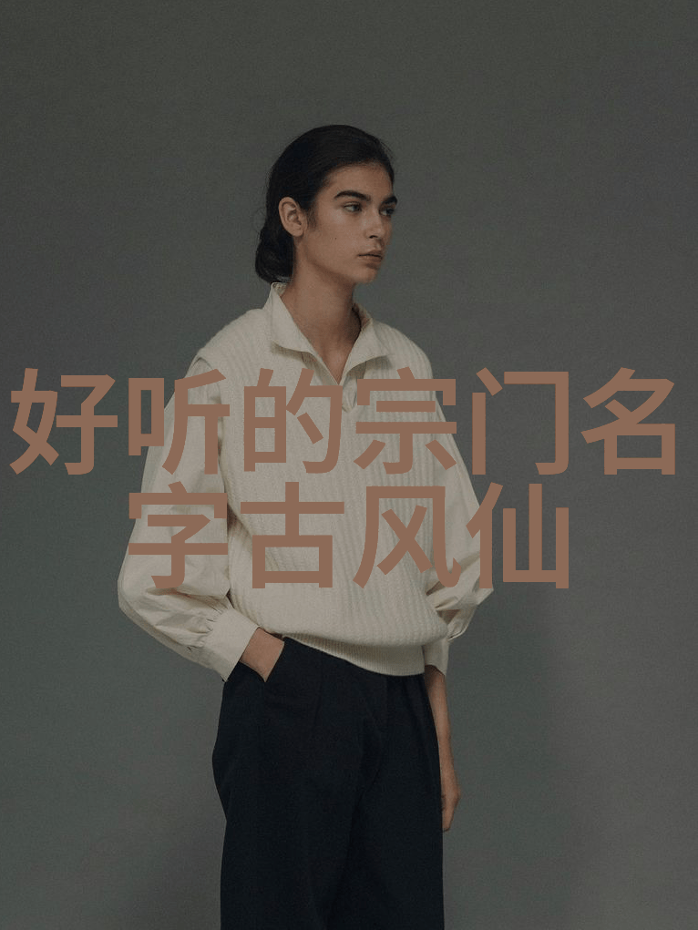 太极拳24式分解式详解探索内外相合的艺术秘密