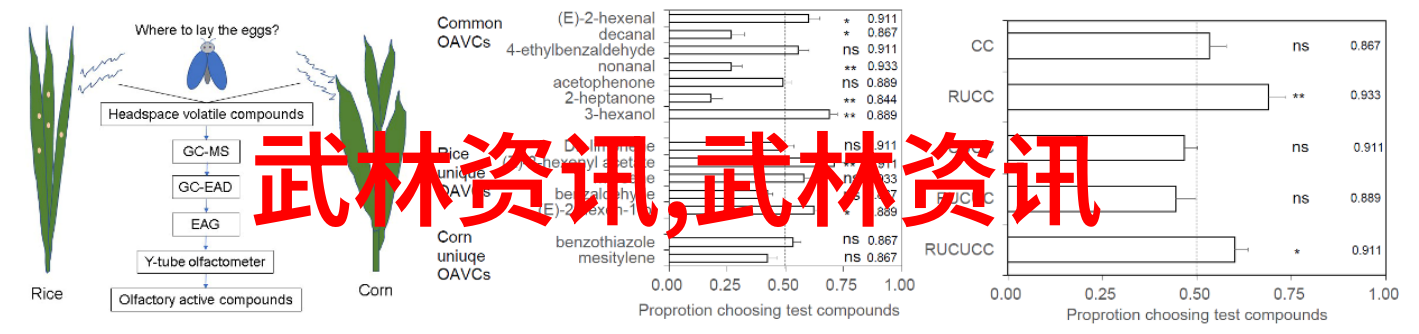 长生不老药方 传说中能延寿百年的圣药