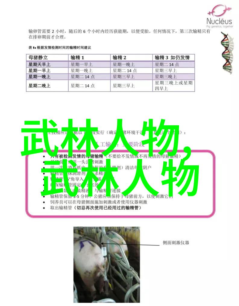 湖南武术门派的历史发展有哪些重要阶段