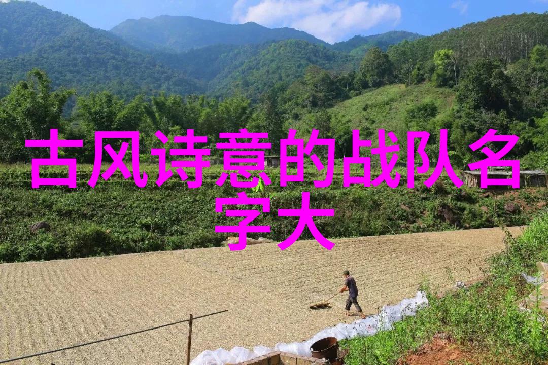太极拳口诀之精髓探究