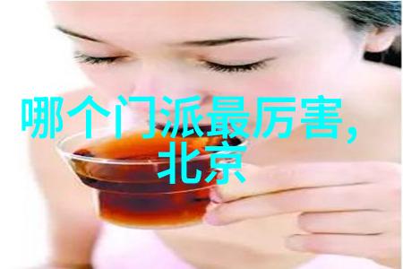 我在武林中的探险门派大汇总从桃花岛到紫霞宫