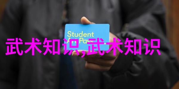 功夫秘籍教学-武林秘籍解密揭秘传统功夫的学习艺术