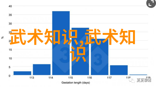 美国十次啦啦美国十次啦啦队的激情演出