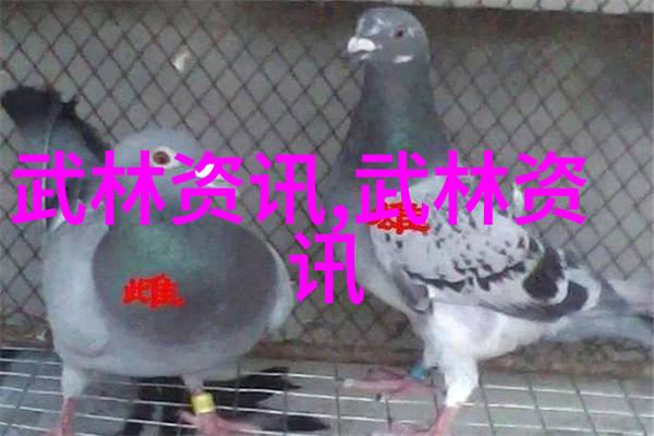 大众高尔夫汽车报价顶流赛事不设淘汰线尼克劳斯伍兹难以对抗美巡强队