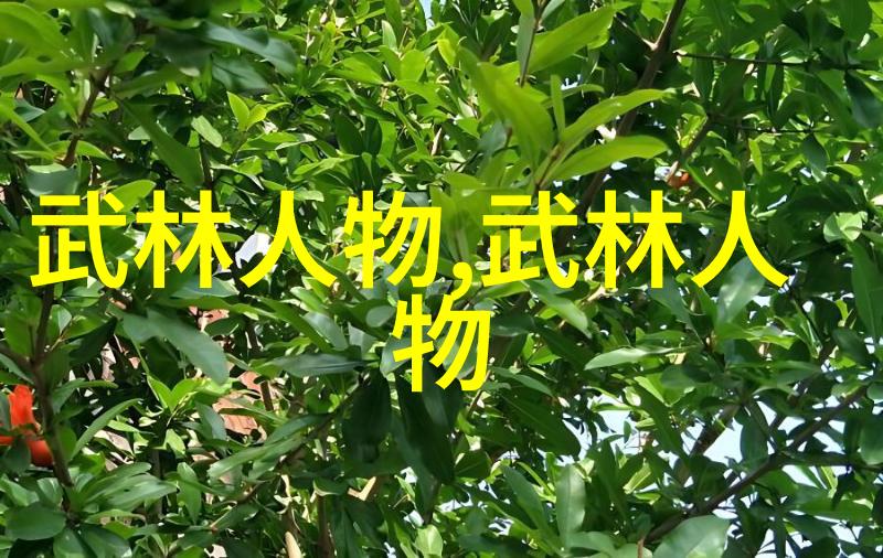 太极拳与气功共舞入门者需掌握双重步伐