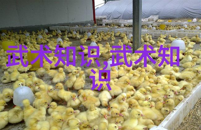 三十六计六十四卦如何在现代生活中应用这些古老战略智慧