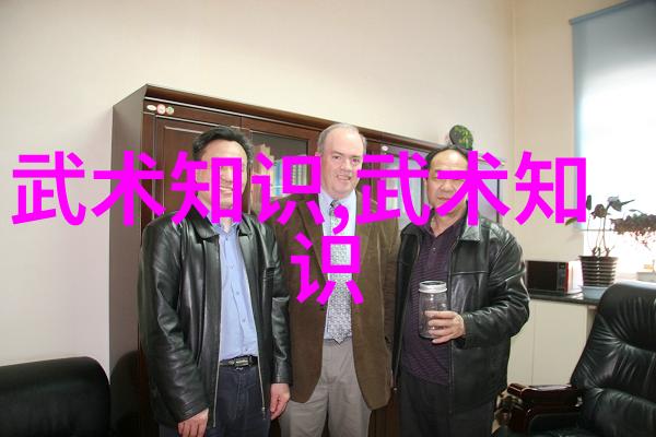 武道修为之阶梯一览内外功境界的辉煌与深邃