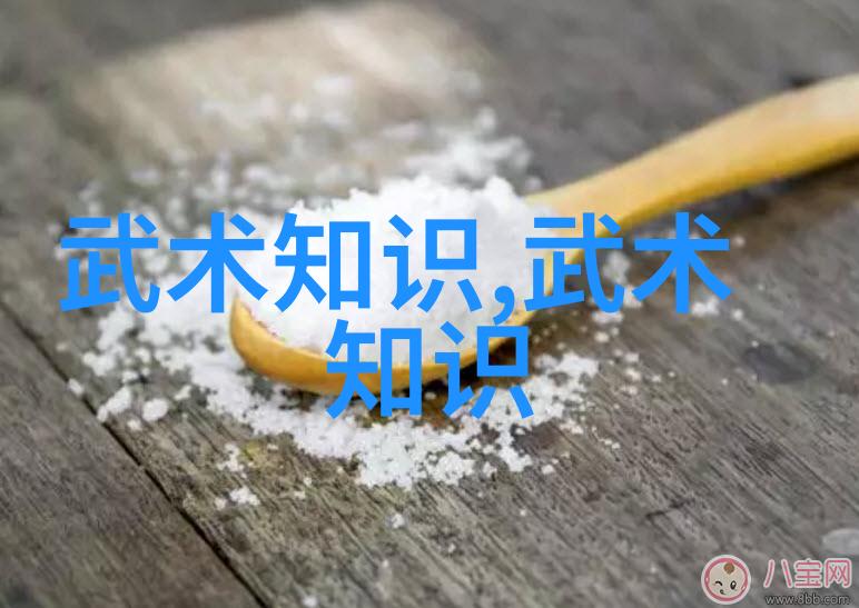 南拳华拳之争铁掌与金腿的对决
