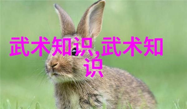 文学奇观-慕吱的天鹅颈探索古典小说中的审美与情感