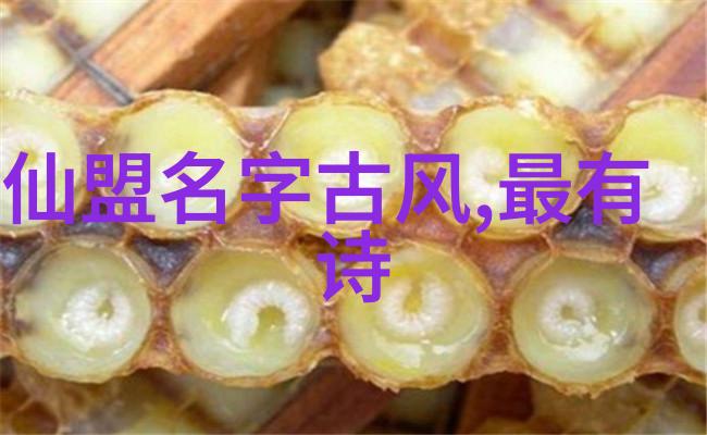 穿越时空的秘密阿宾1-72全文阅读之谜