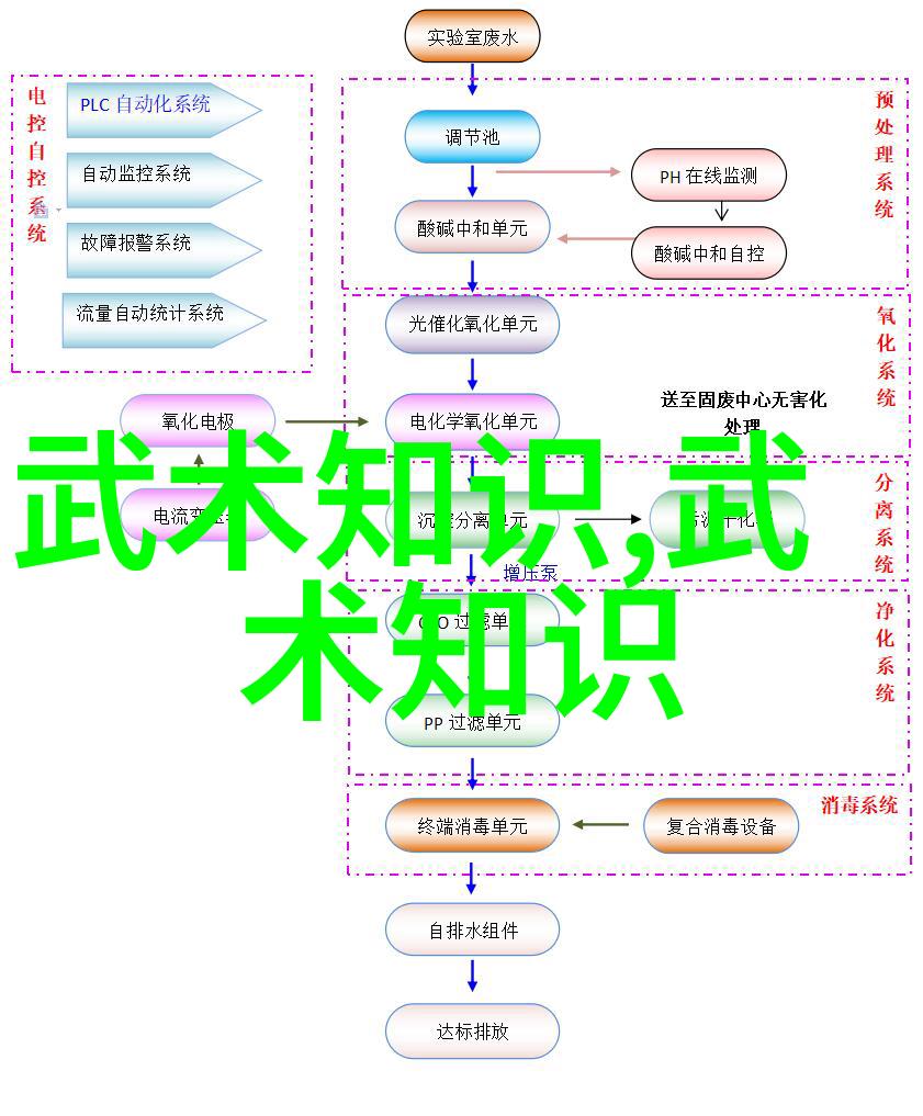 初学武术套路拳法-步入武林初学者指南到精通套路拳法