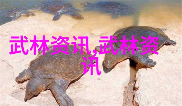武术活动名称大全-揭秘中华武林一百种精彩武术活动名称