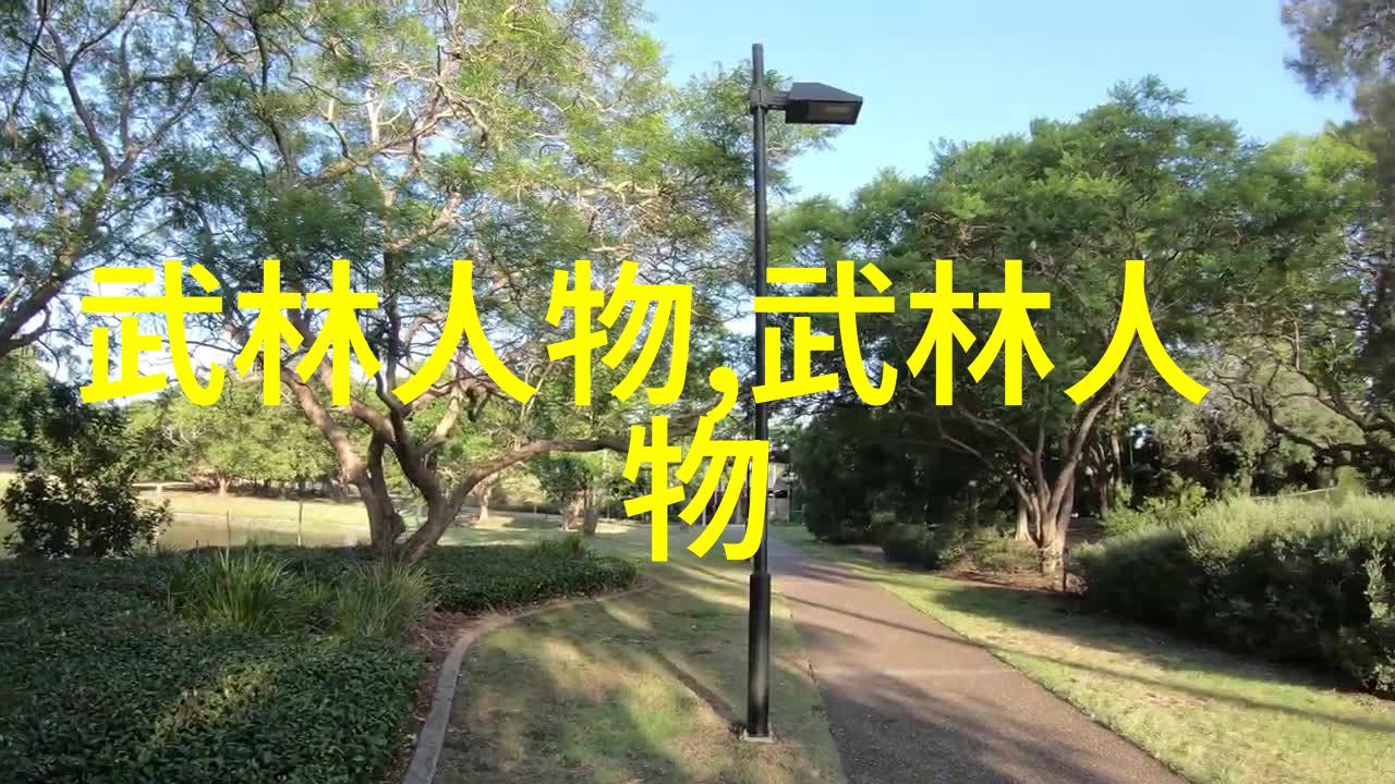 一招定乾坤高效学习方法在武功自学教学视频中