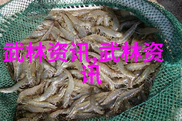 哪门武术最厉害我觉得这事儿得看场合了