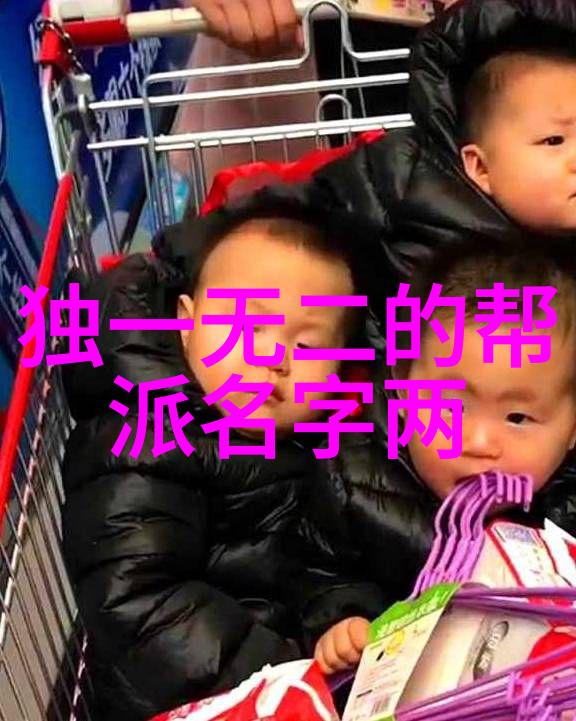 探索中国拳法的多样性揭秘武术世界中的各种风格