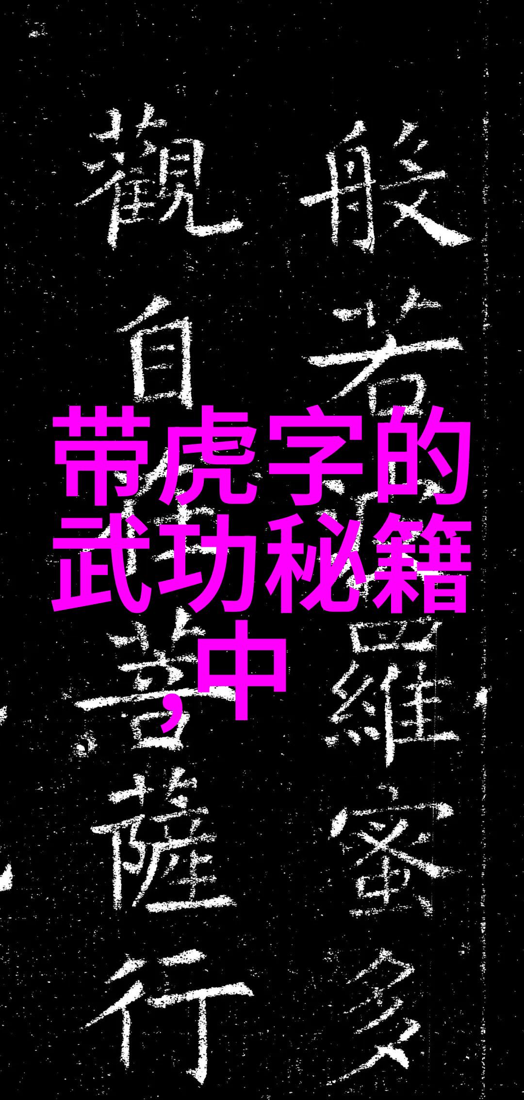江湖百家武功从神拳到玉液