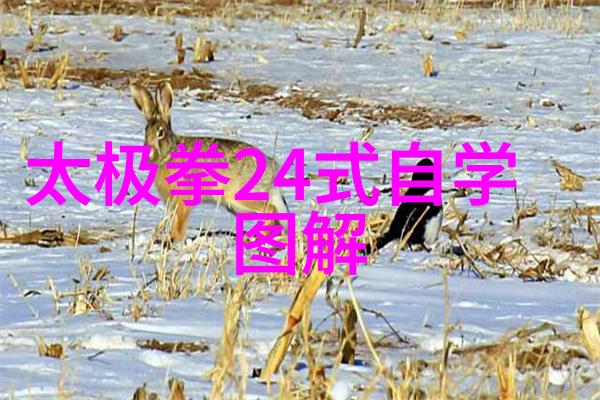 会武术的人很危险我亲眼见证了他的一招制敌