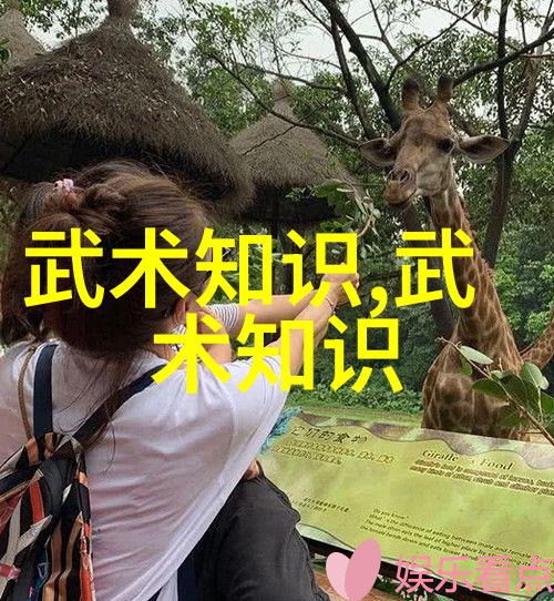王文贤解密古代武功秘籍排名太极拳套路核心要素的反复探究