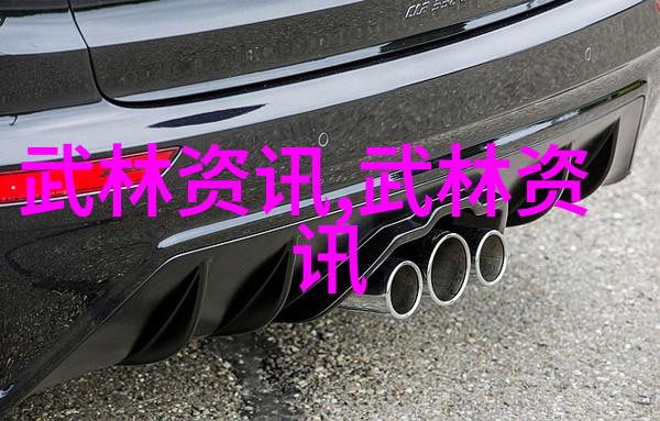 程派高式八卦掌中国武术门派大全中的精髓在社会的传承与实践