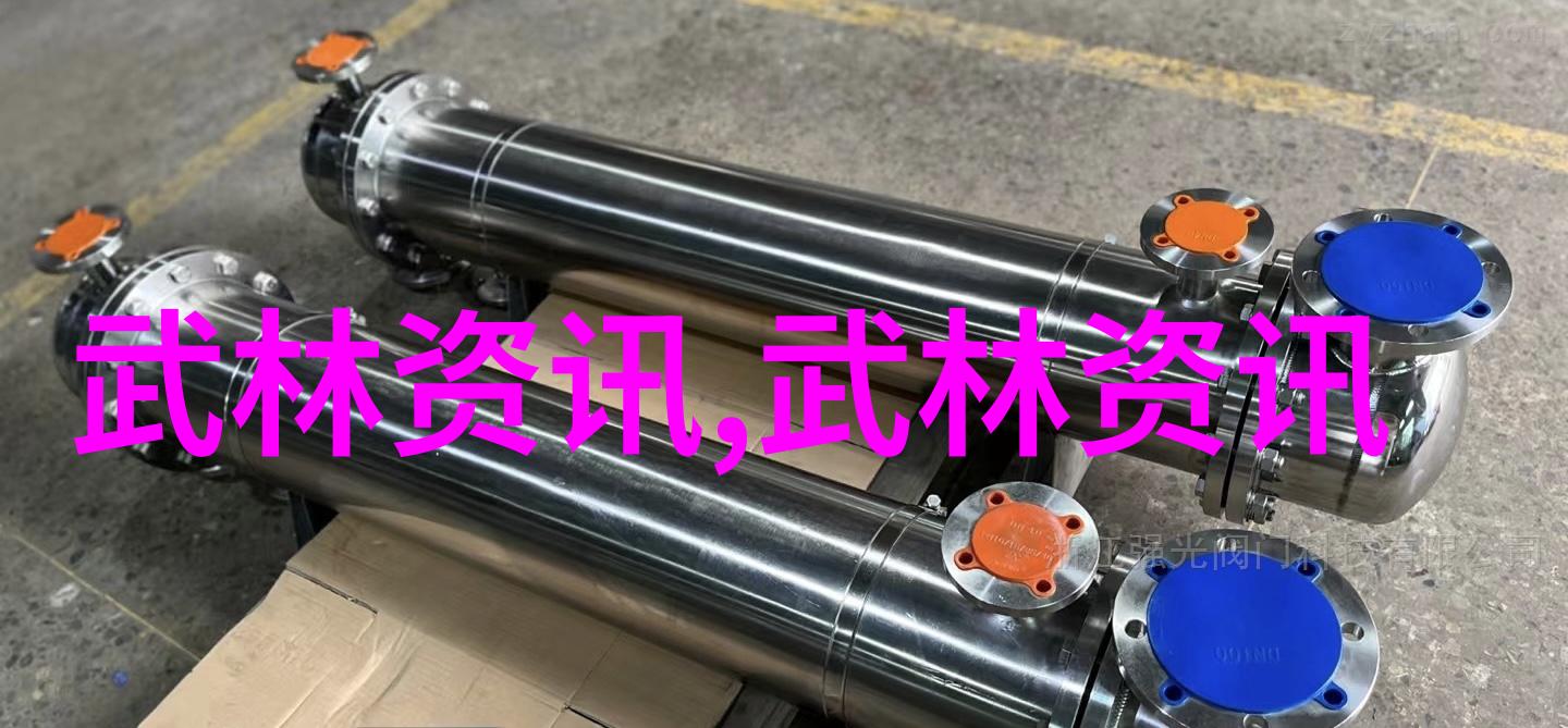 中国功夫门派实战排名-江湖秘录揭秘中国功夫各大门派实战力排名
