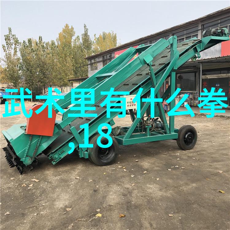 中国传统武术拳法顺便探秘养生之道