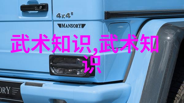 拳影霸道揭秘武术界的绝世高手