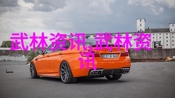 湖南武术门派探索湘江流传的内家外功艺术