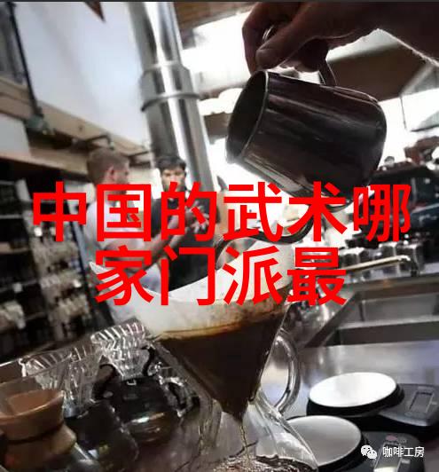 翁心诚教授的太极拳24式自学图解内劲之流如同江河需一分为二方能融合