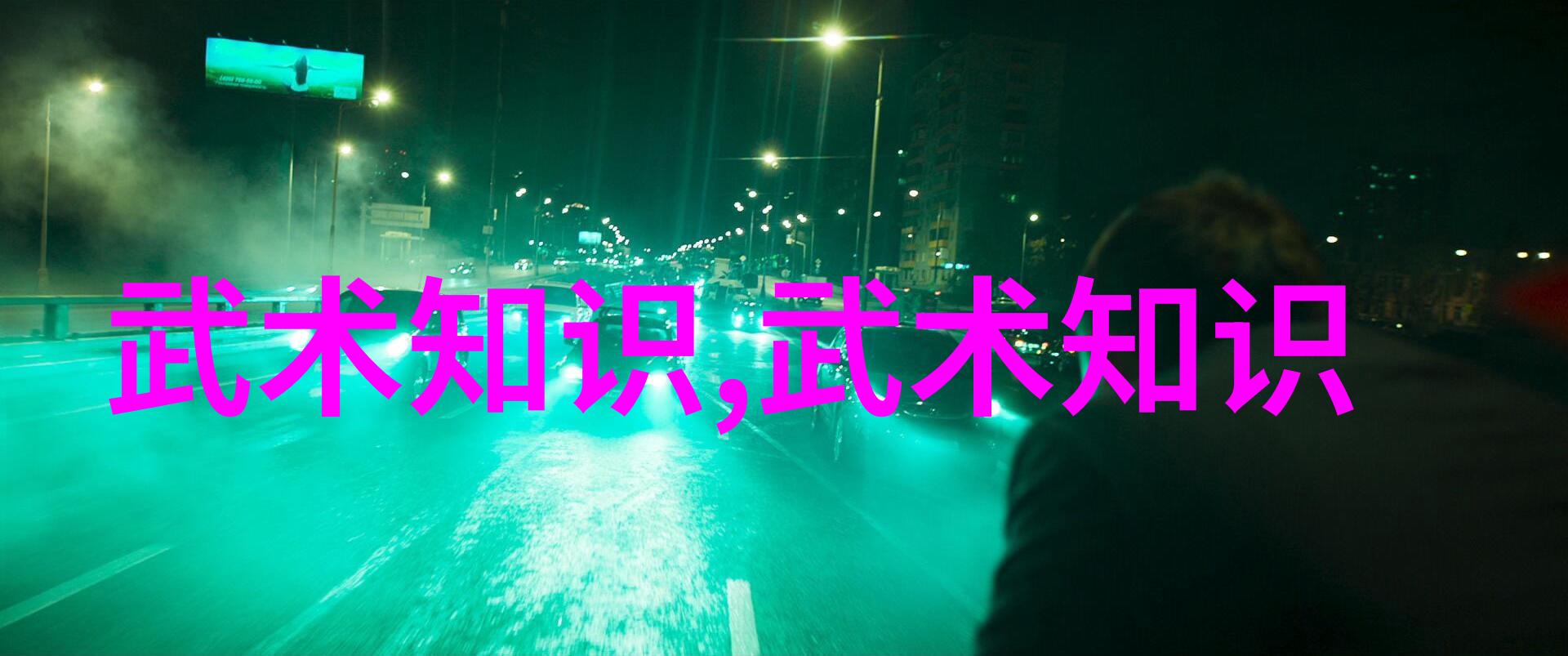 中国武功的秘密修炼方法内功外功招式练习