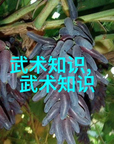 翱翔九天的秘诀轻功飞行的修炼之道