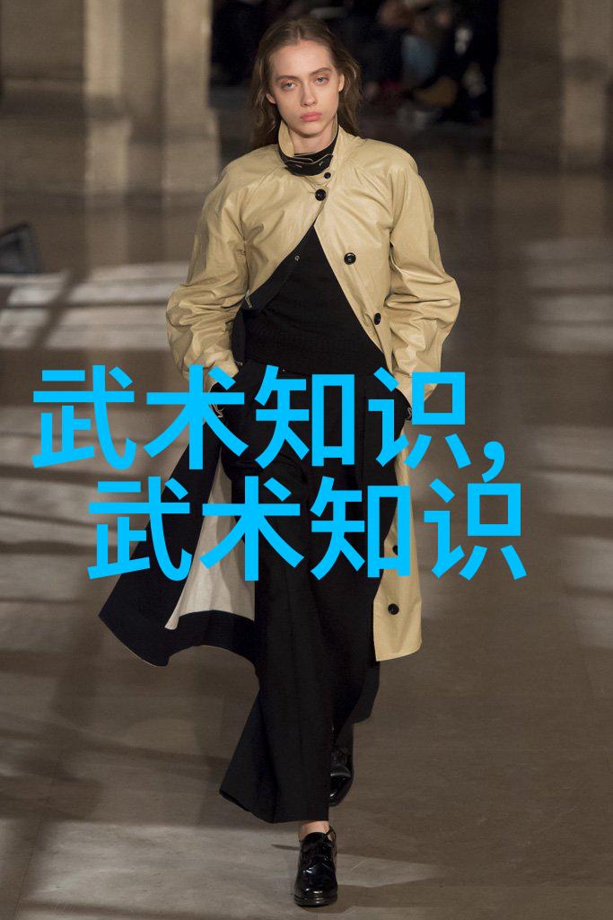 武林无数门派唯有武当松溪神意派内家拳乃是武学巅峰之作