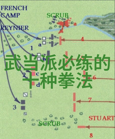 太极功夫秘籍揭秘内家独门手法与心法之谜