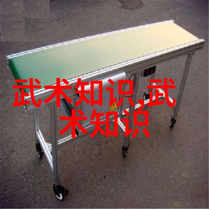 武功练习要注意哪些细节避免常见错误快速提升实力