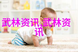 世界拳豪的绝技揭秘最凶猛的击打艺术