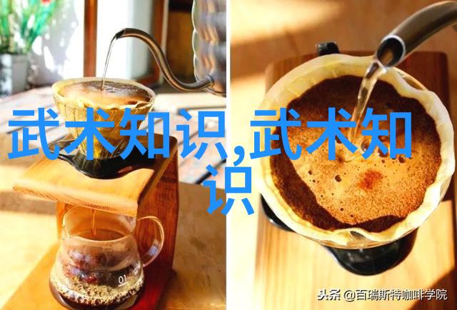 实战大师揭秘全球最具效用的十大武术体系