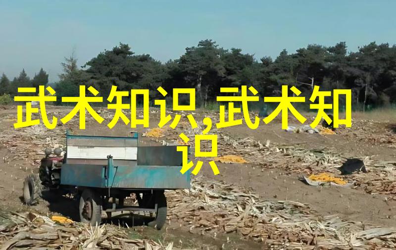 紫烟楼流传百年的江湖秘密