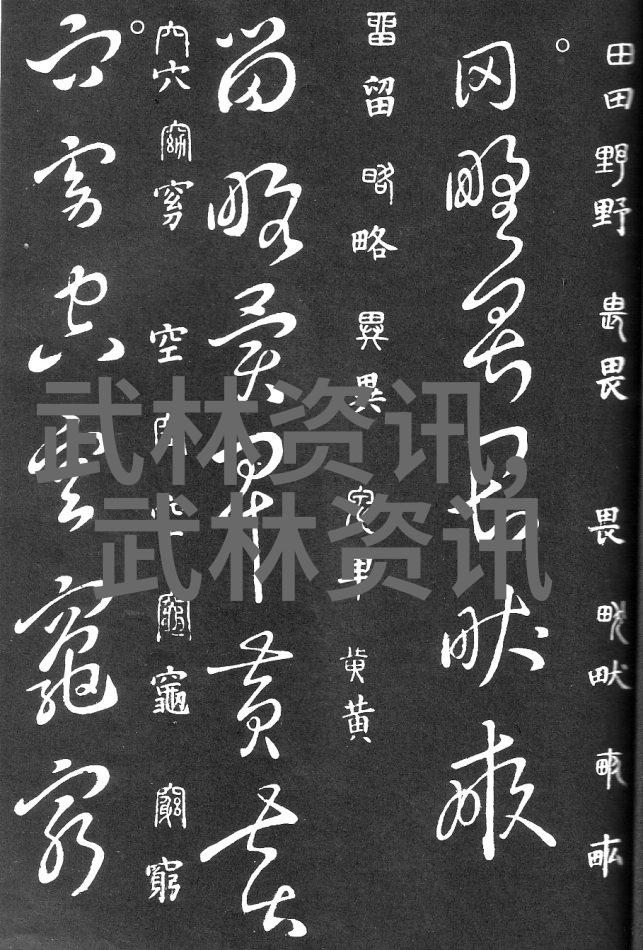 中国十大最强武术之门派拳种叶式太极拳