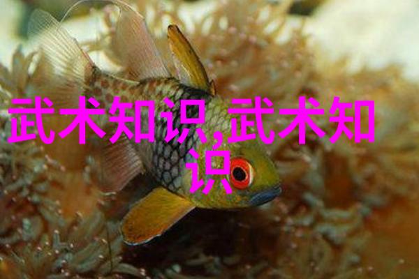 武林秘籍招式大全带图我手中的宝贝解锁江湖绝技的秘密之书
