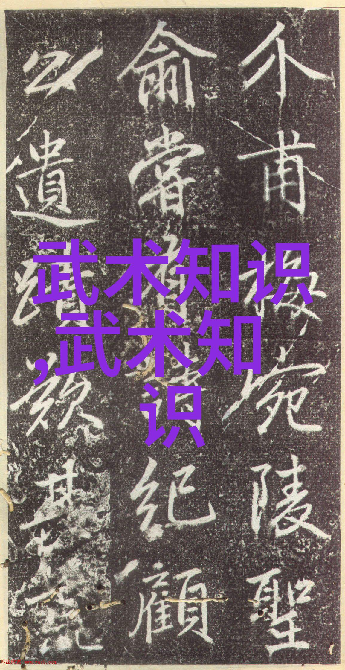 高雅不俗的游戏盛宴探索四字名号背后的艺术与魅力