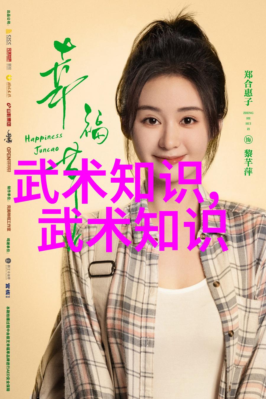 武功门派概览拳法与器械之道