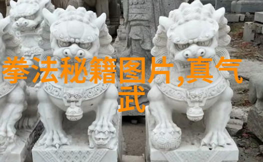 武功自学教学视频我是如何通过网上的教程学会了武功的