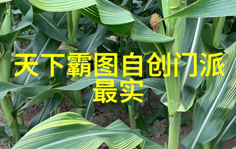 harmony_hive 探索共鸣的心灵蜂群