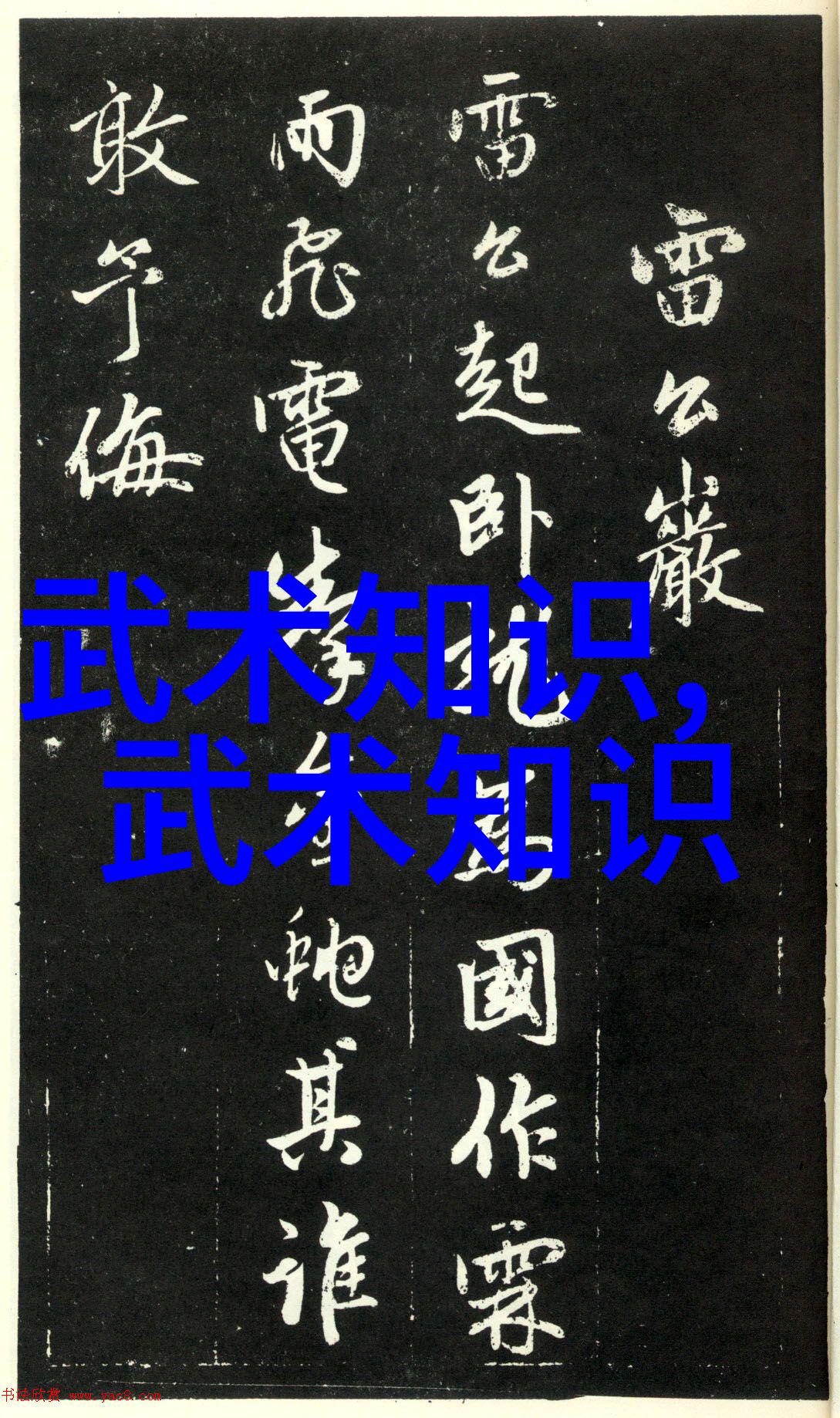 太极拳的艺术与科学24式图解深度探究